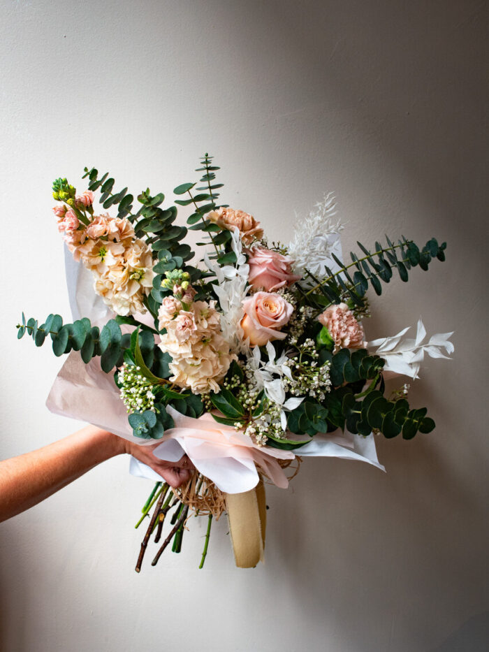 FRANCESCA (ALBANESE)